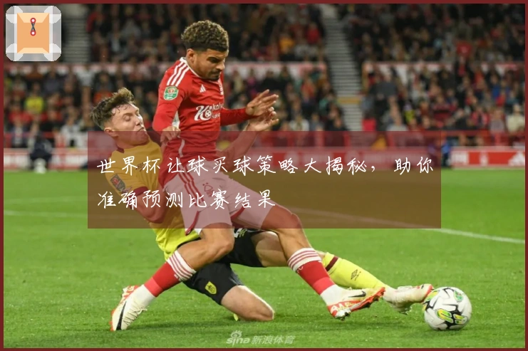 世界杯让球买球策略大揭秘，助你准确预测比赛结果