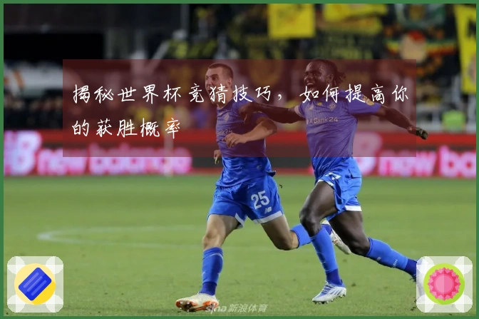 揭秘世界杯竞猜技巧，如何提高你的获胜概率