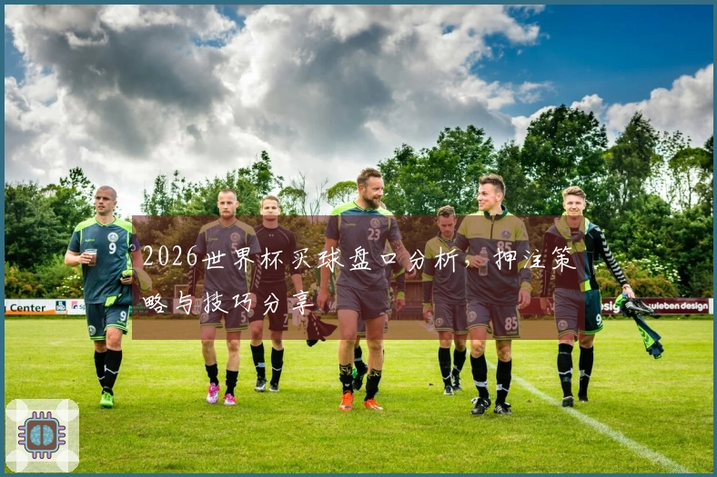2026世界杯买球盘口分析，押注策略与技巧分享