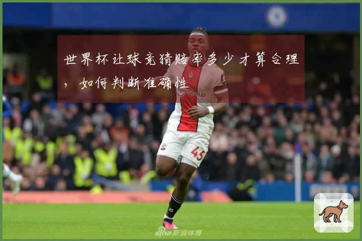 世界杯让球竞猜赔率多少才算合理，如何判断准确性