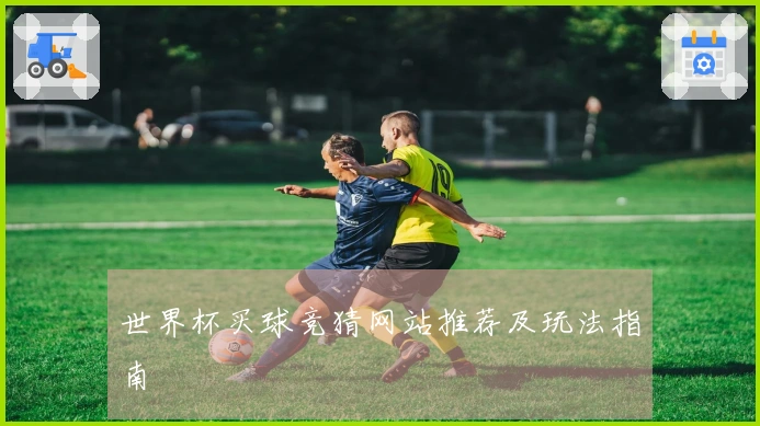 世界杯买球竞猜网站推荐及玩法指南
