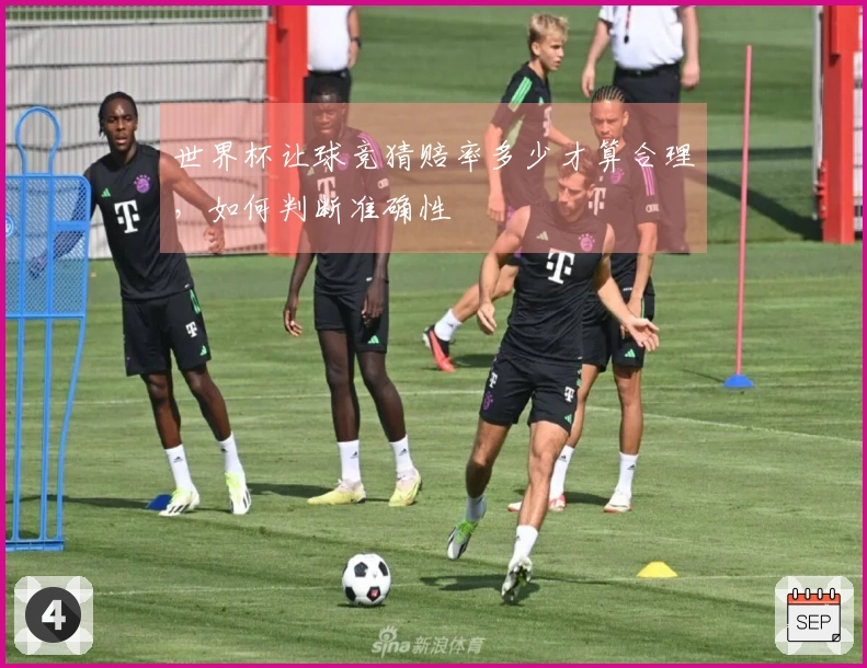 世界杯让球竞猜赔率多少才算合理，如何判断准确性