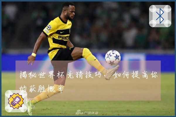 揭秘世界杯竞猜技巧，如何提高你的获胜概率