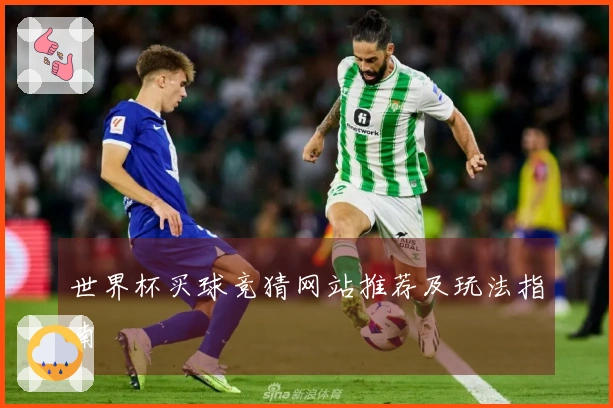 世界杯买球竞猜网站推荐及玩法指南
