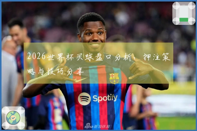 2026世界杯买球盘口分析，押注策略与技巧分享