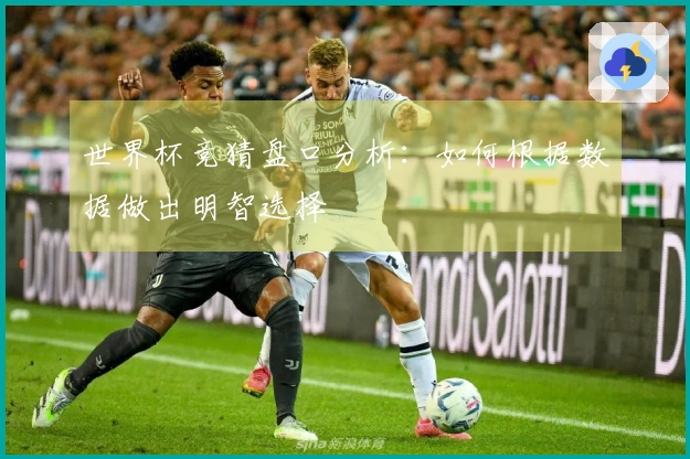 世界杯竞猜盘口分析：如何根据数据做出明智选择